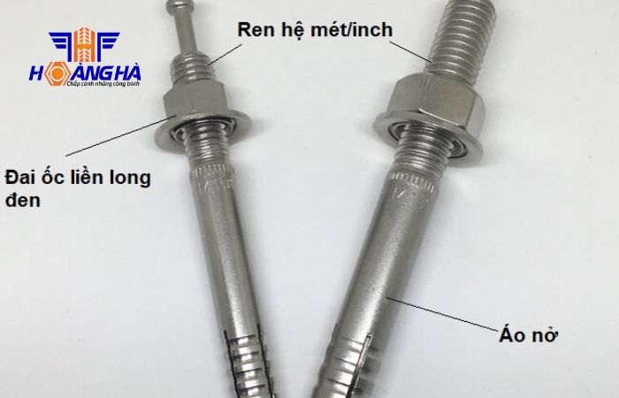 cấu tạo chi tiết của tắc kê nở